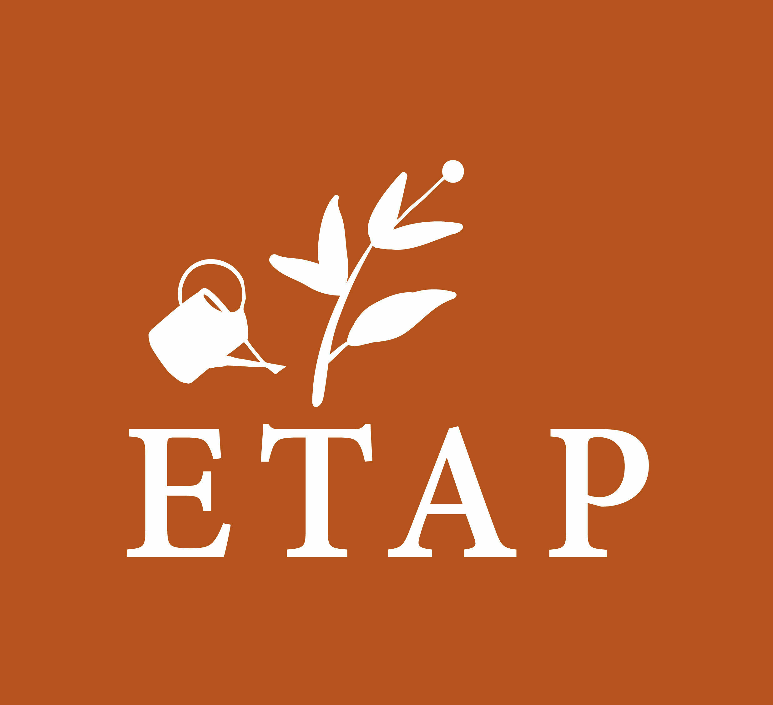 ETAP conseil